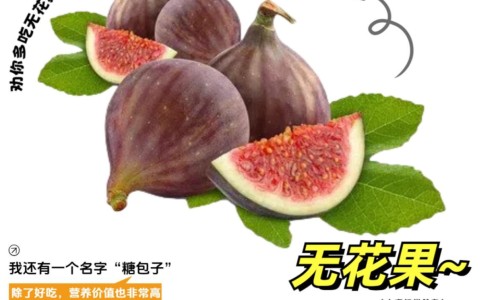 姜加黑糖煮水喝的功效-生姜黑糖泡水喝有什么功效与作用专区_姜加黑糖煮水喝的功效专区_生姜黑糖泡水喝有什么功效网